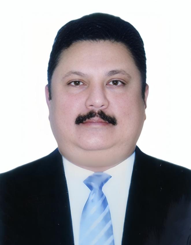 Ansar Moolayil — Managing Director, TEAMWORK HOLDINGS LLC